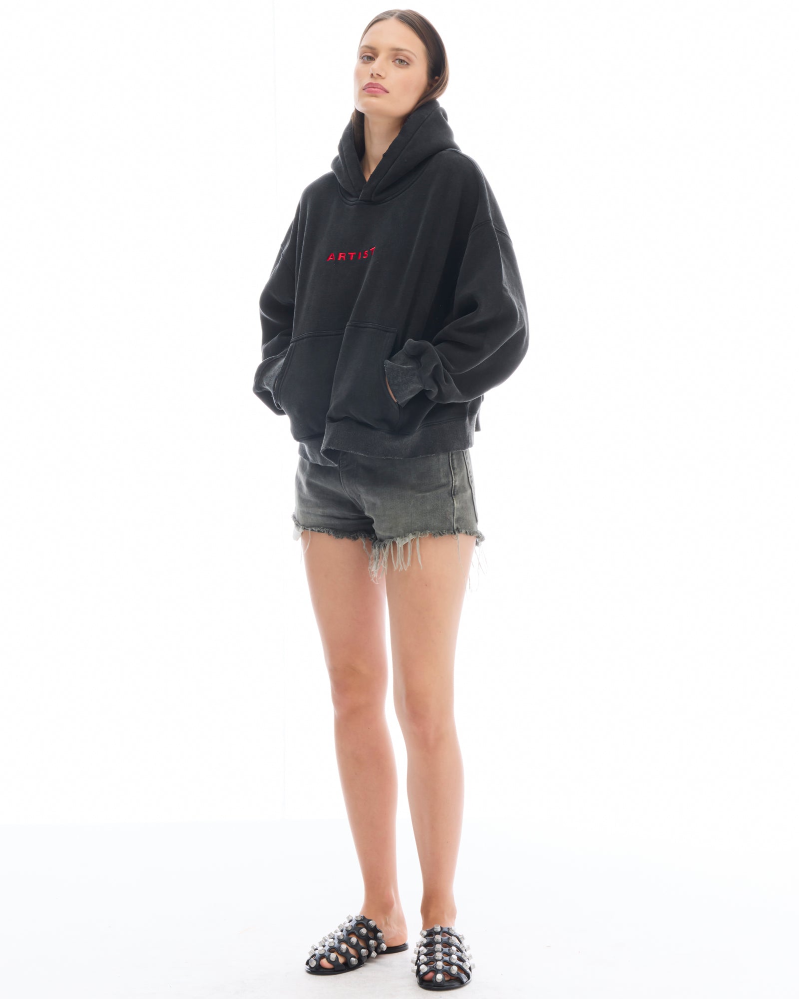 Artist Oversized Crop Hoodie