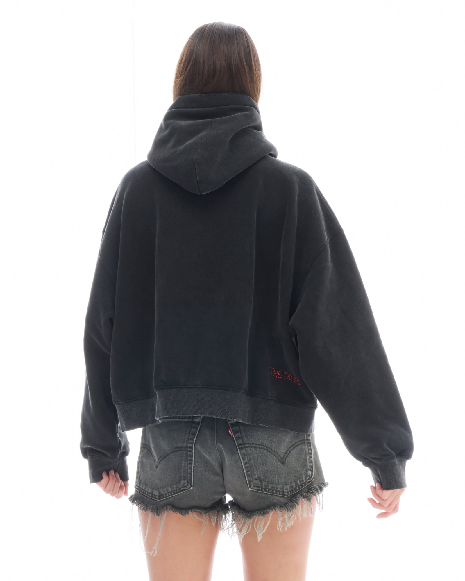 Artist Oversized Crop Hoodie
