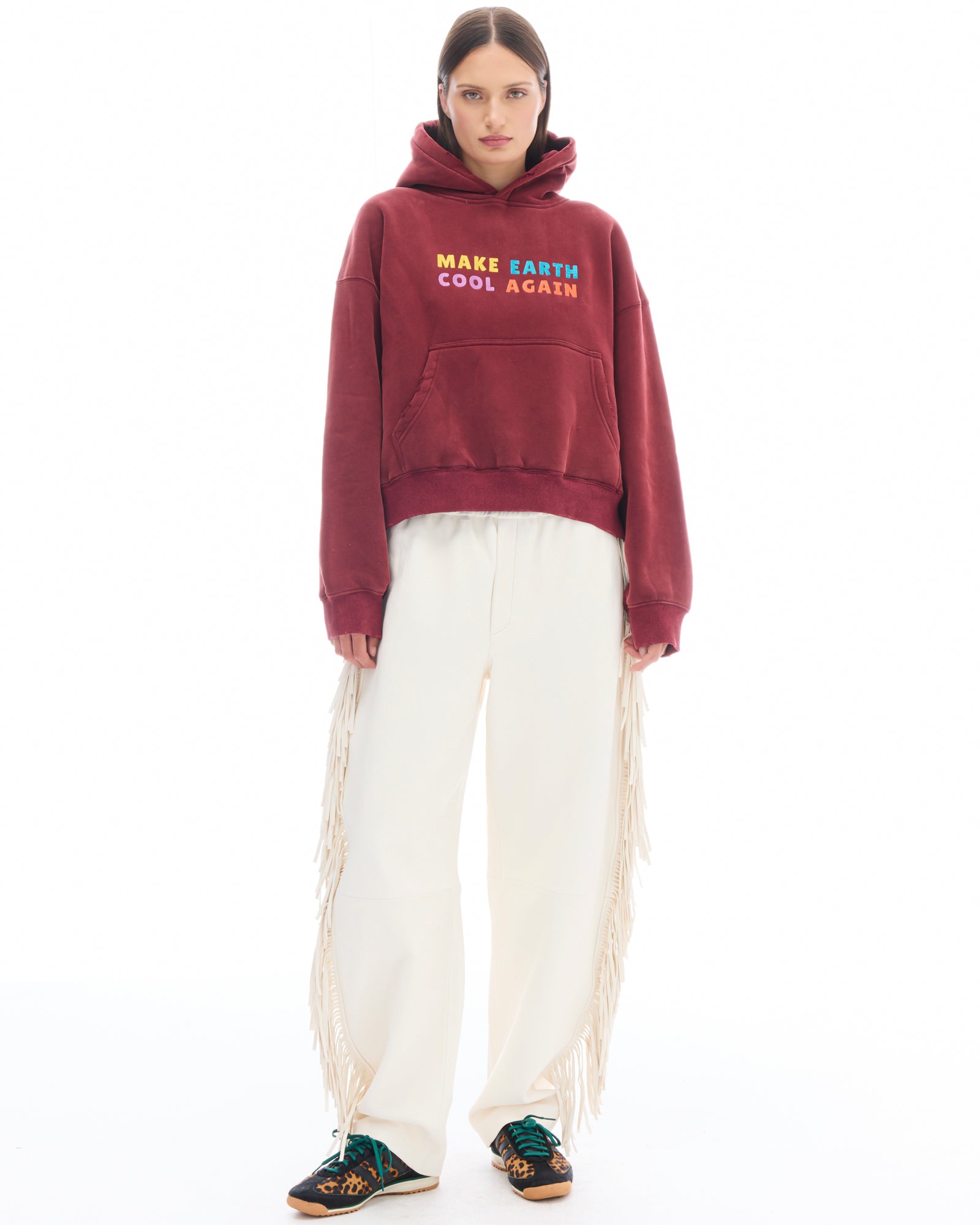 Make Earth Cool Again Hoodie