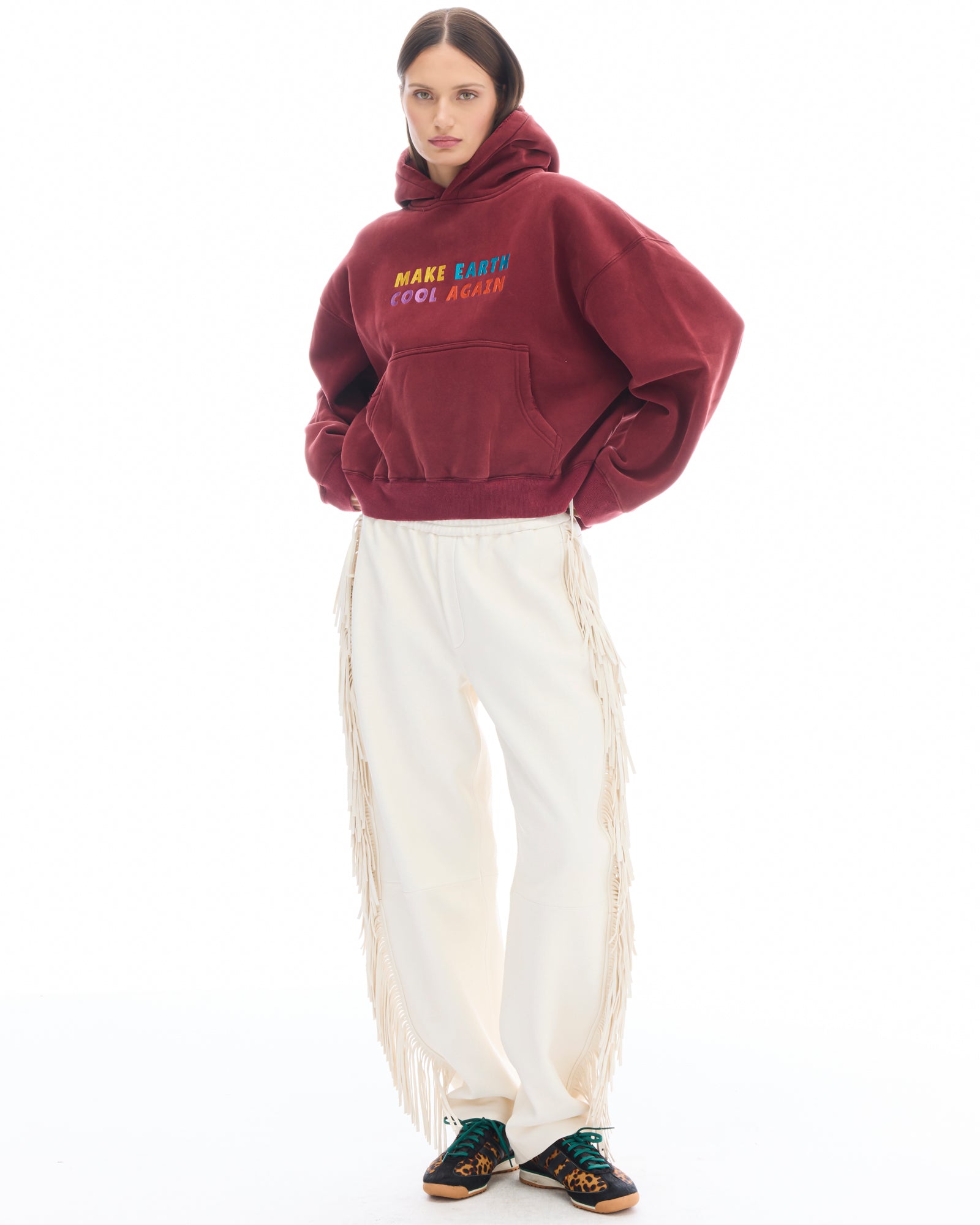 Make Earth Cool Again Hoodie