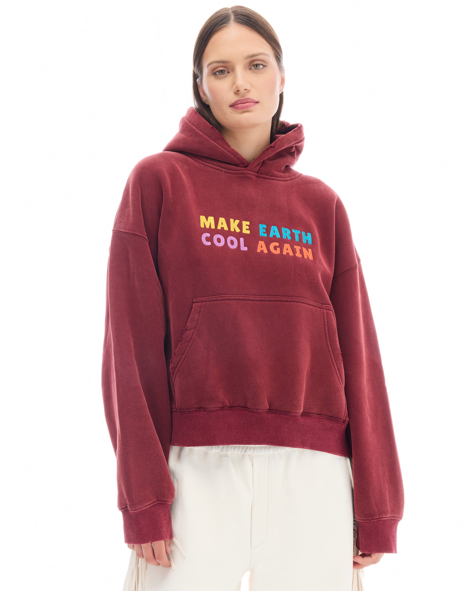 Make Earth Cool Again Hoodie
