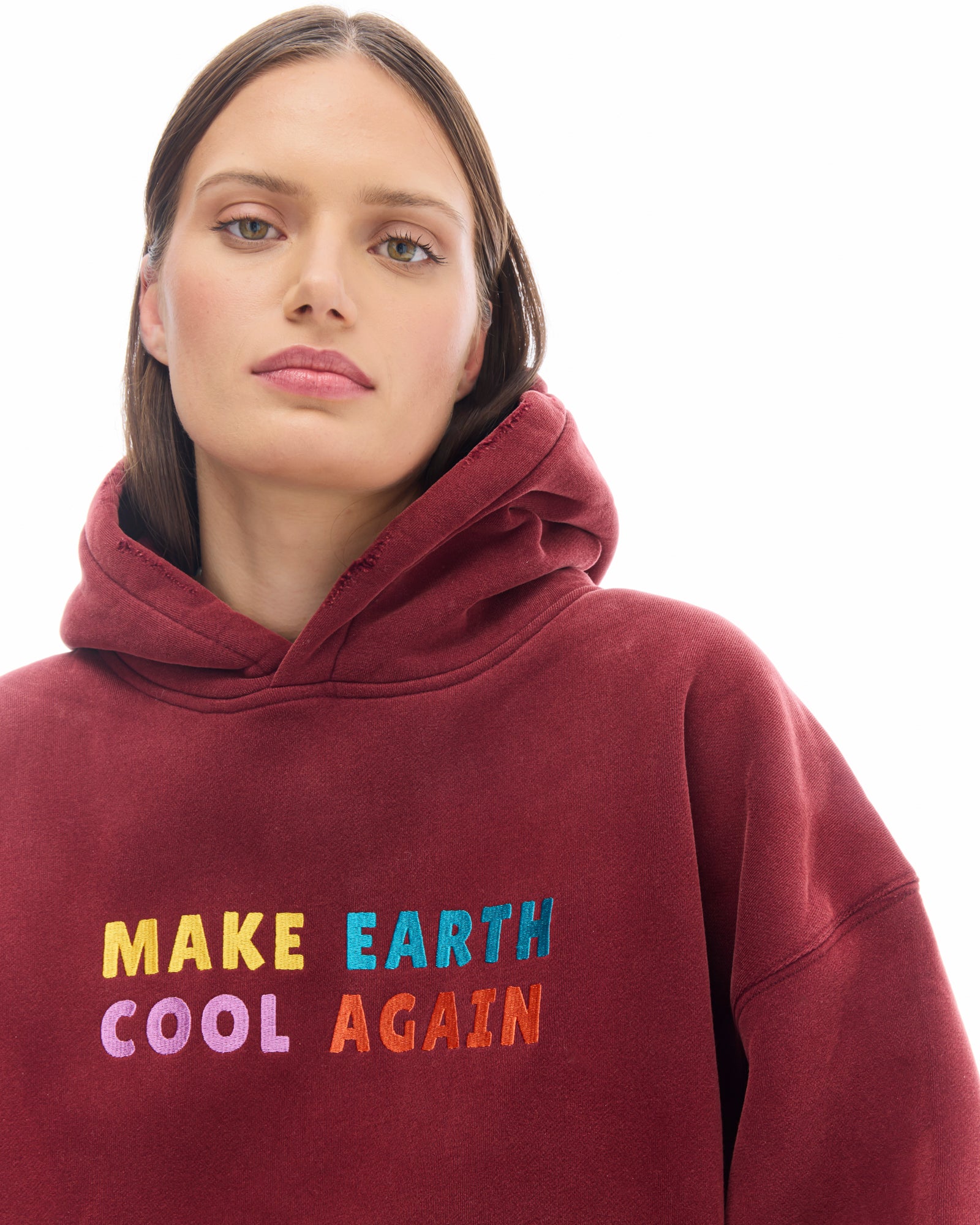 Make Earth Cool Again Hoodie