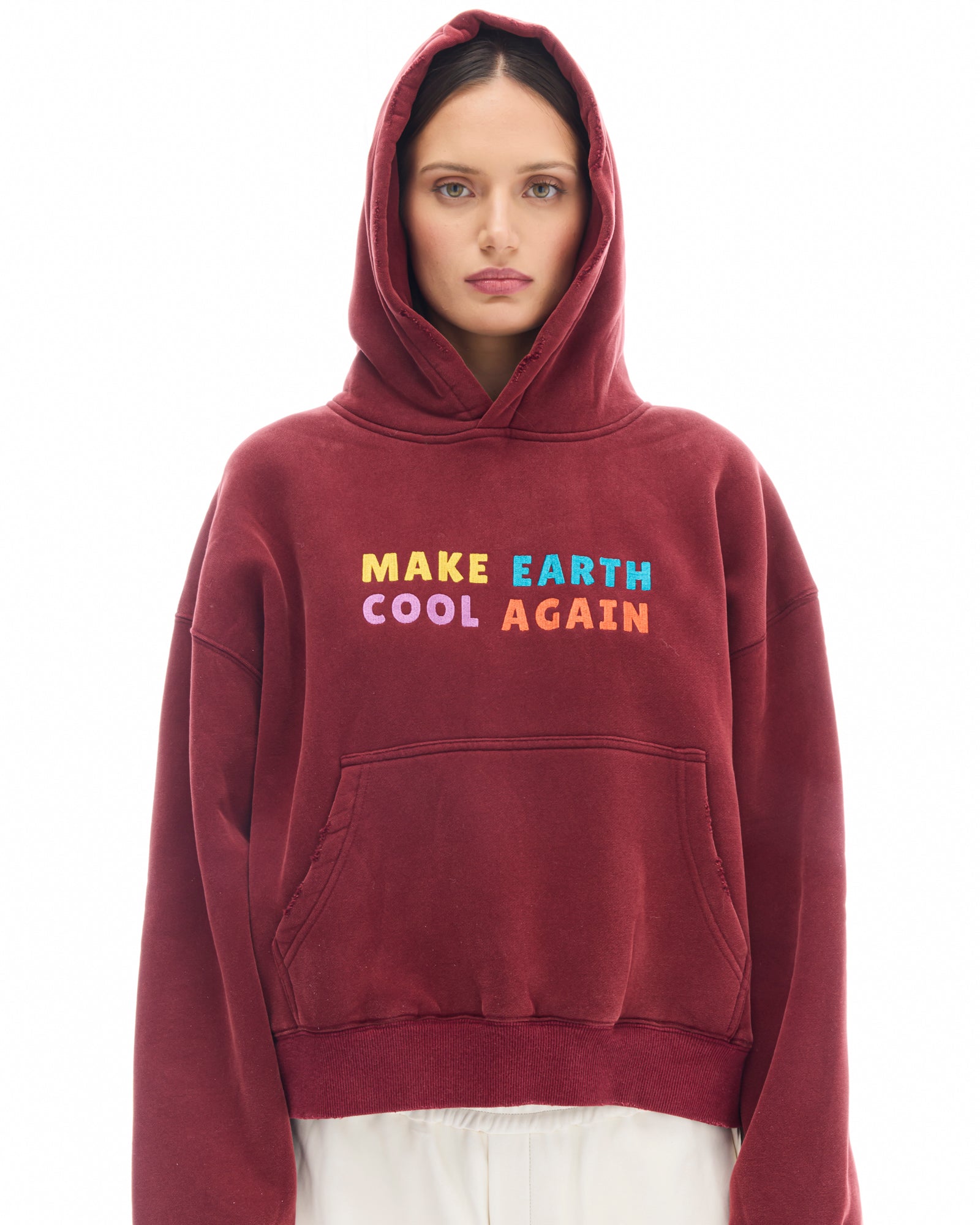 Make Earth Cool Again Hoodie