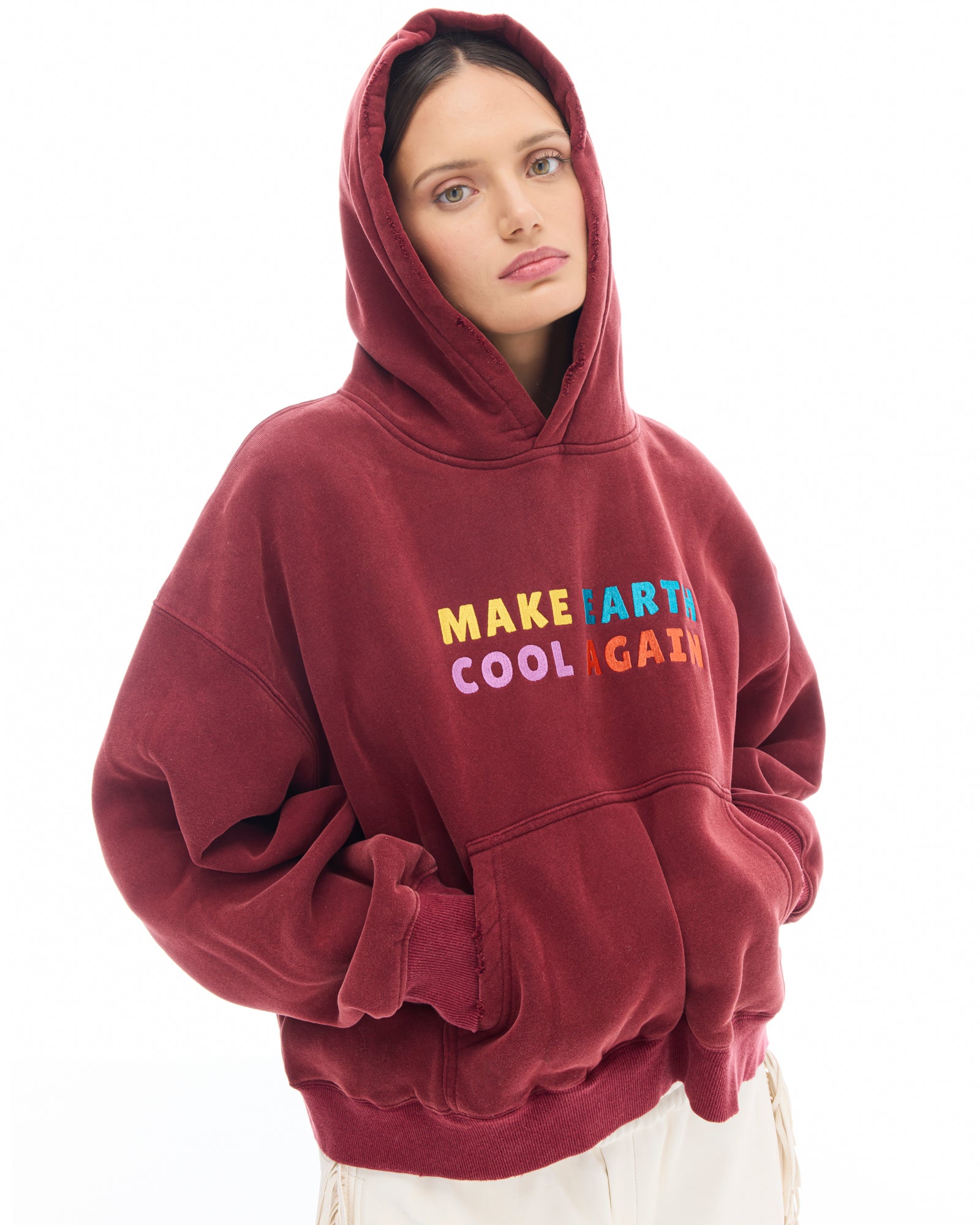 Make Earth Cool Again Hoodie