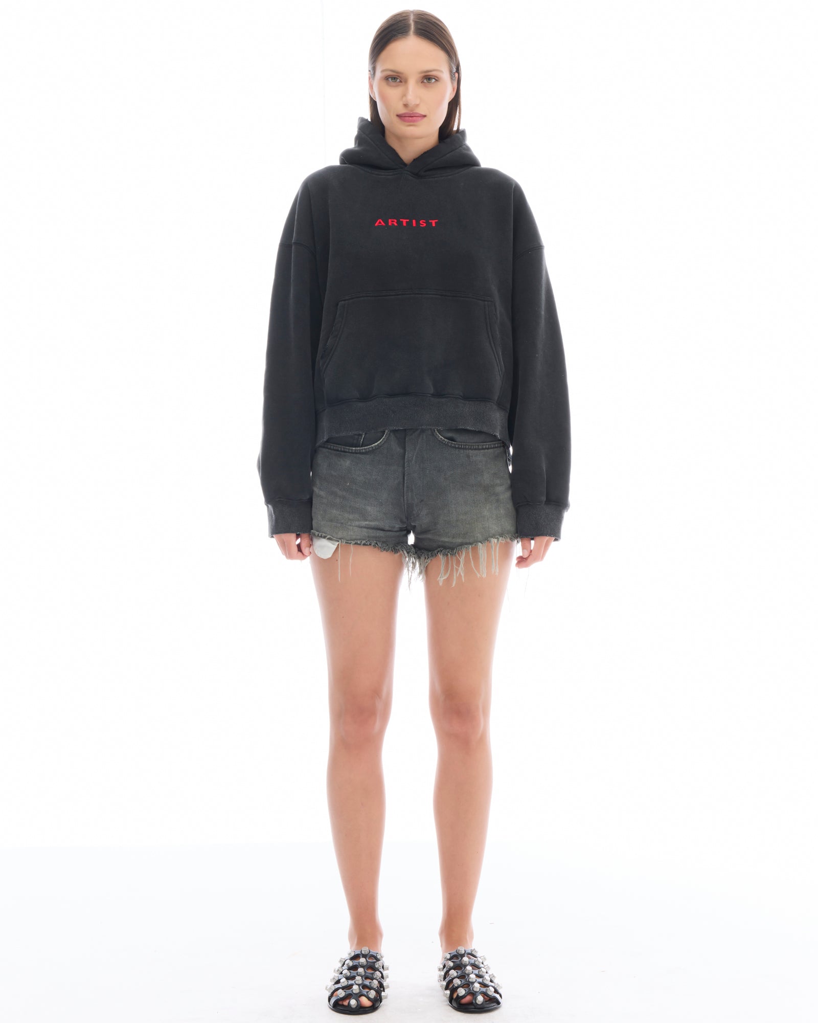 Artist Oversized Crop Hoodie