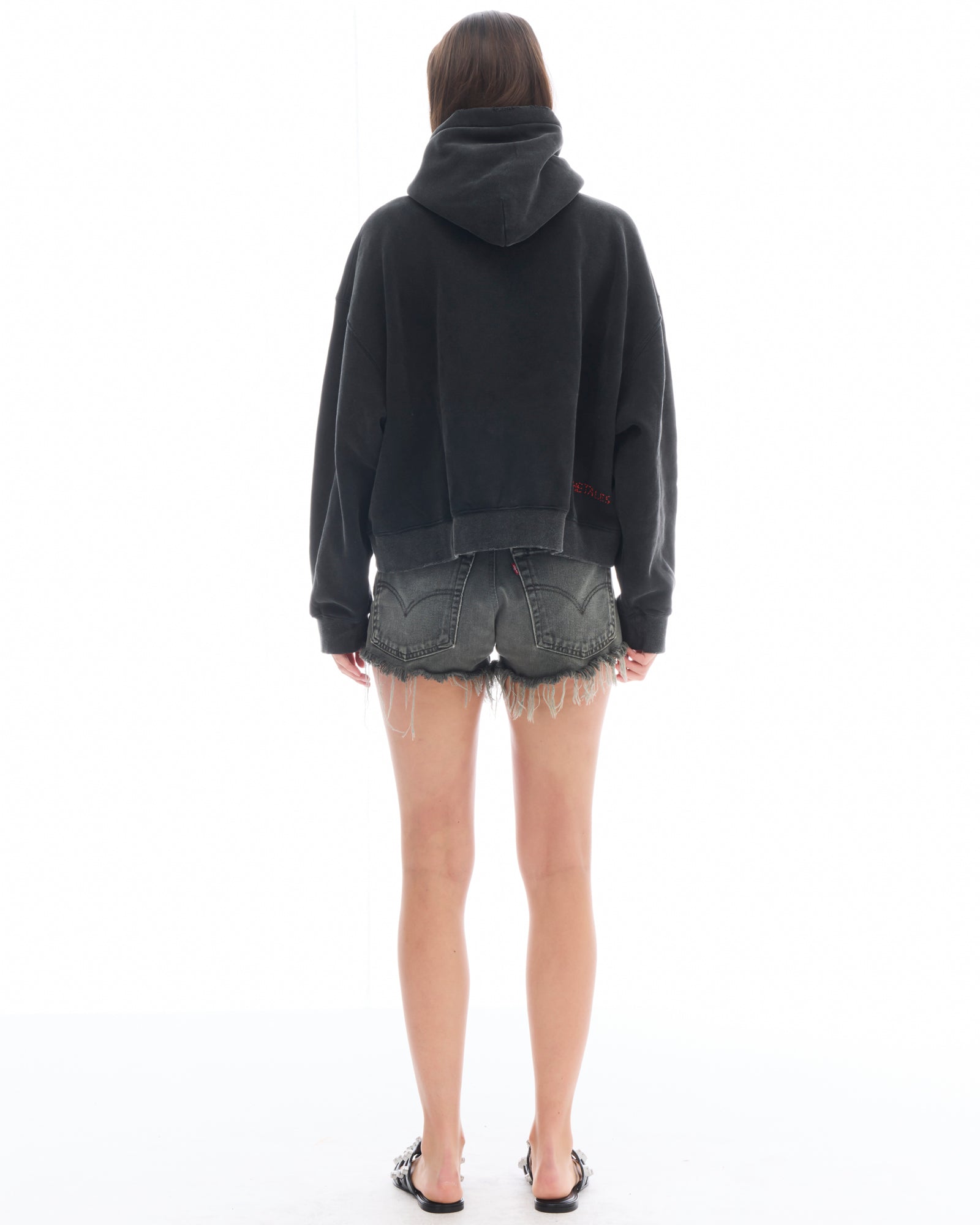 Artist Oversized Crop Hoodie