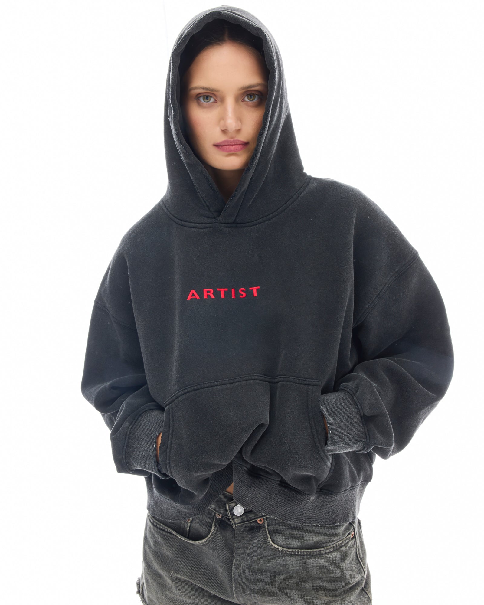 Artist Oversized Crop Hoodie