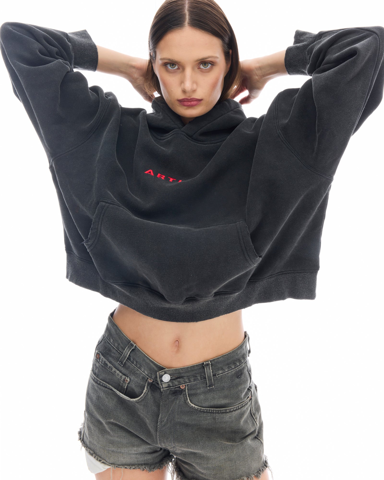 Artist Oversized Crop Hoodie