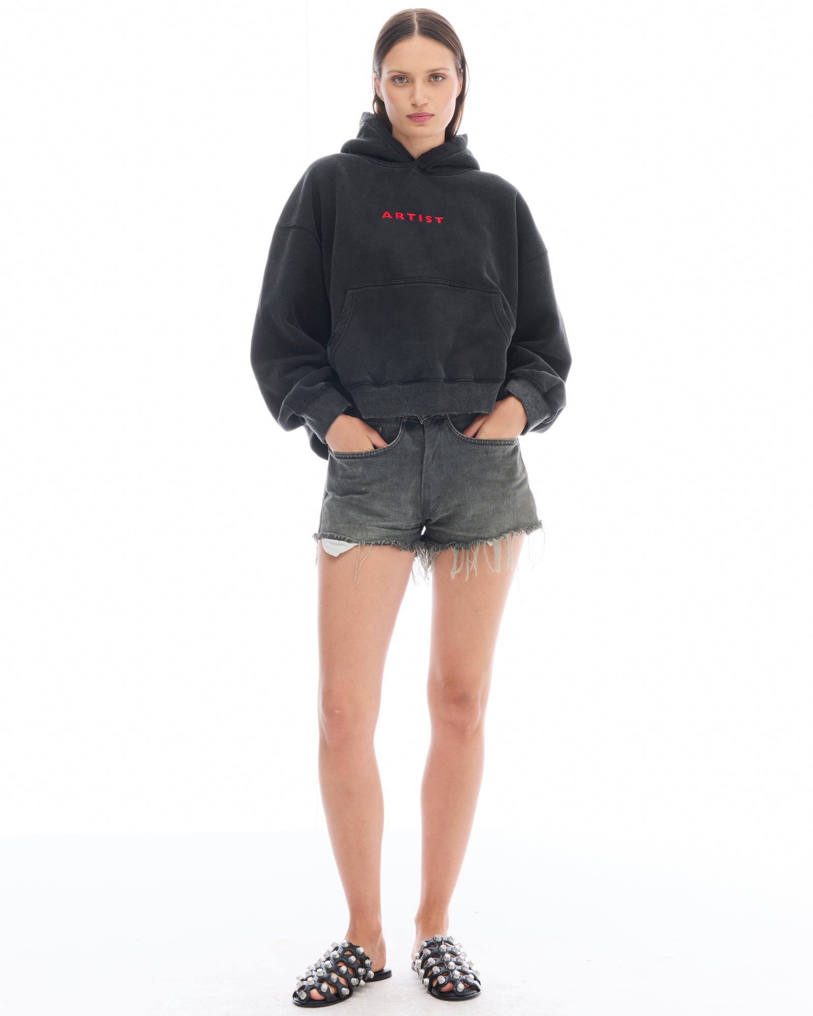 Artist Oversized Crop Hoodie